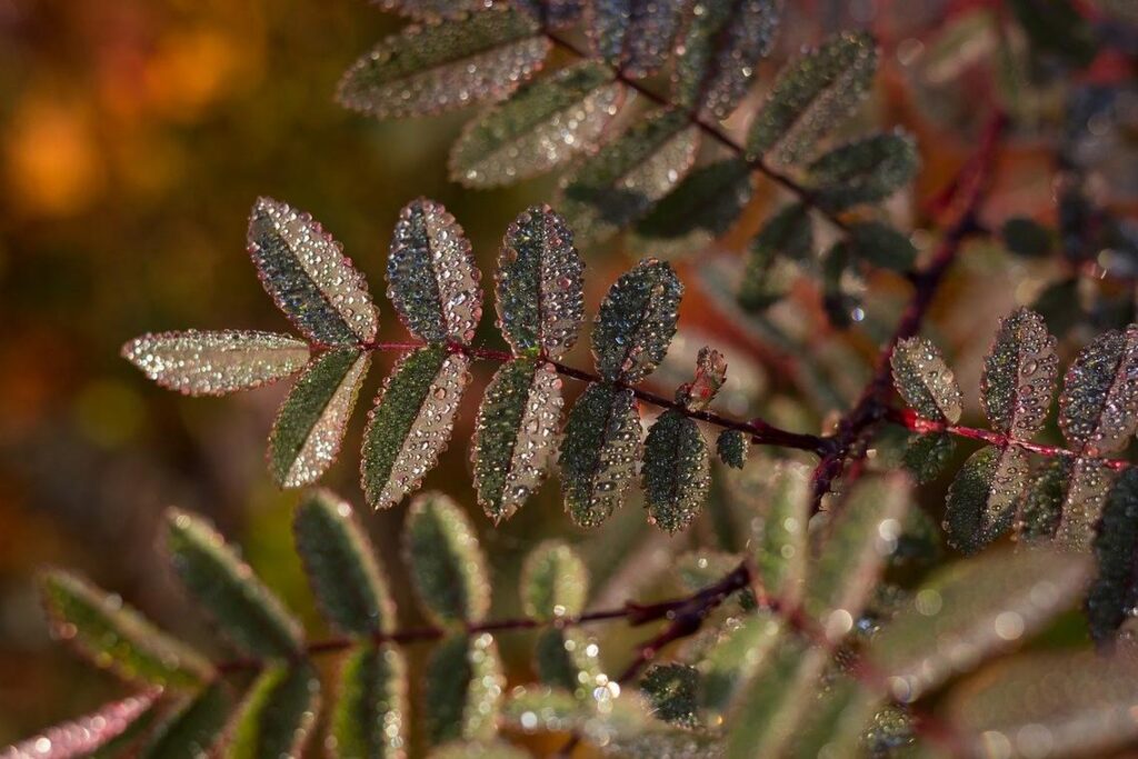 Compounding Consistency