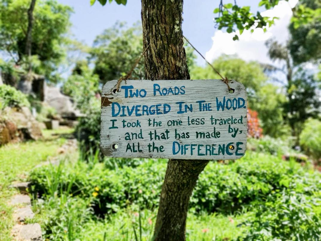 False Diversification