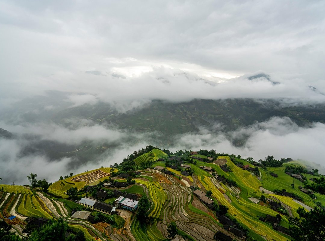 Money Disbusinessfied