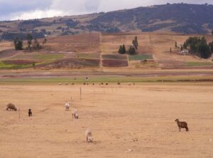 toca boca poppetjes kleding