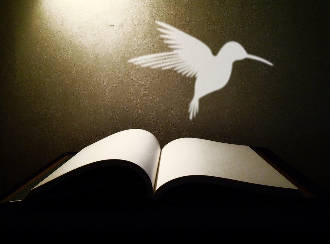 Why These Stories Resonate So Deeply with Readers